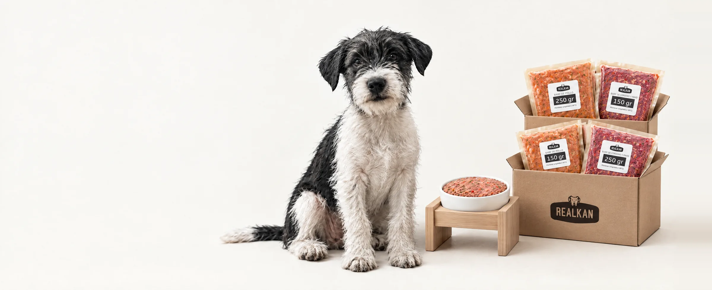 Cachorro blanco y negro sentado junto a un plato de comida cruda sobre un soporte elevado y dos cajas con bolsas de Realkan