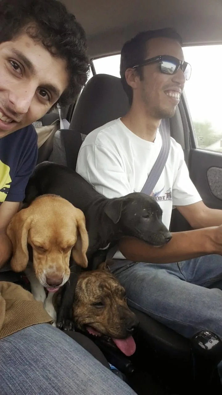 Dos amigos en un auto, sonriendo a la cámara, con tres perros sobre las piernas.