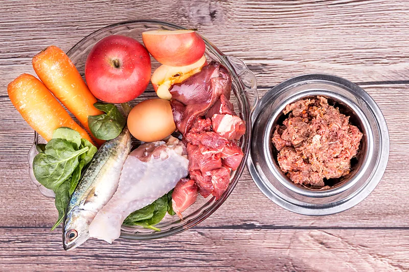 Carne, pescado, huevo, zanahoria, manzana y espinaca junto a un bowl con comida lista