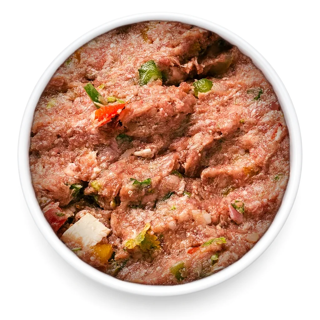 Plato blanco visto desde arriba, lleno de carne cruda molida con pimiento y hierbas picadas, comida cruda para perros
