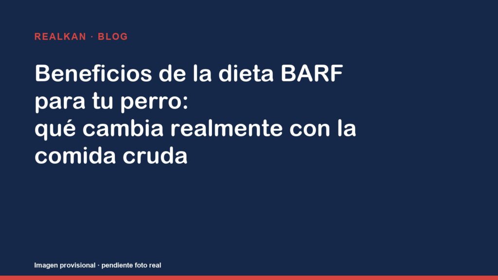Beneficios de la dieta BARF para tu perro: qué cambia realmente con la comida cruda — imagen provisional del artículo